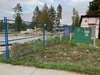 Maple Ridge Deer.jpg