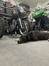 IMG_3566.jpeg