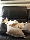 Lucy Sleep.jpg