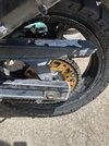 IMG_2033.jpeg