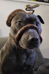 IMG_6438.jpeg