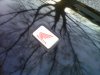IMG00132-20120306-1809.jpg